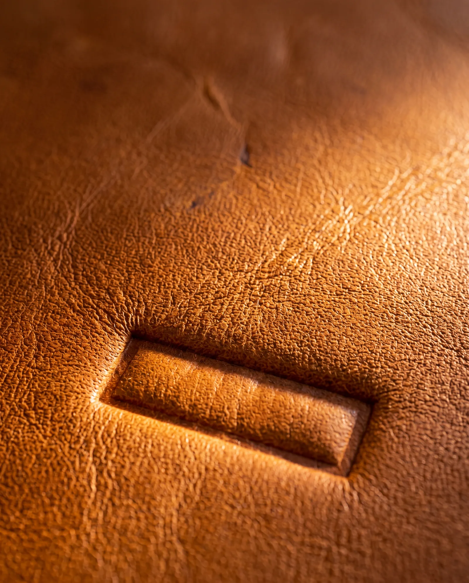 Full-grain leather in raking light, the blind-debossed maison stamp catching the sun